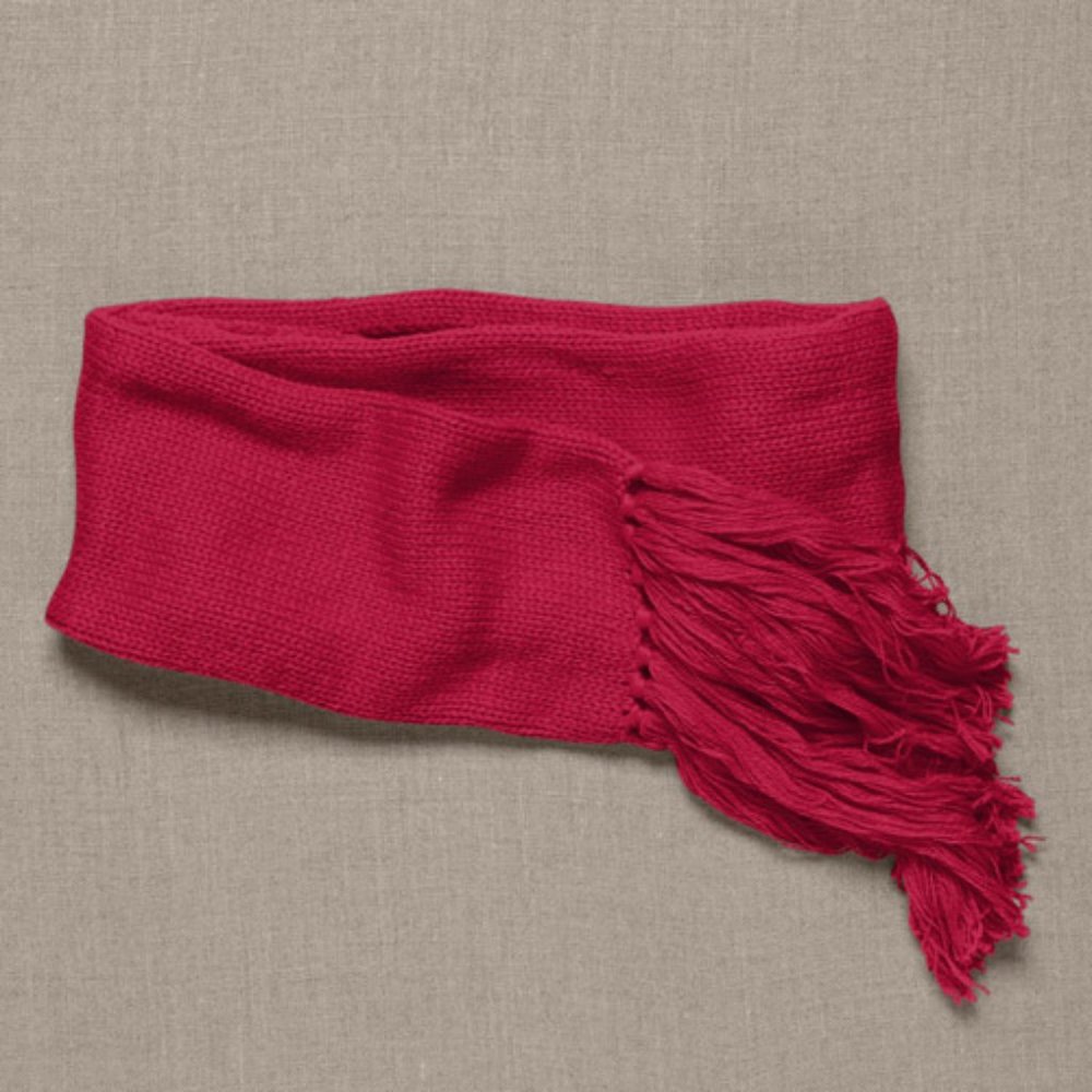 J.Crew torino Scarf
